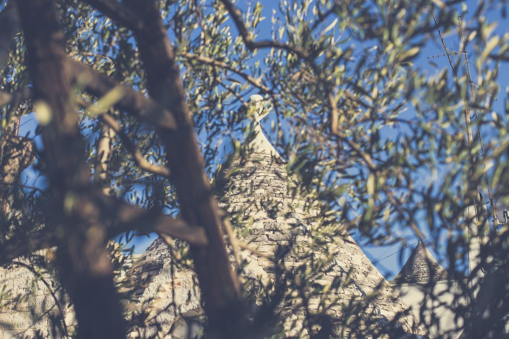 Residenze Nei Trulli Villa Alberobello Ngoại thất bức ảnh